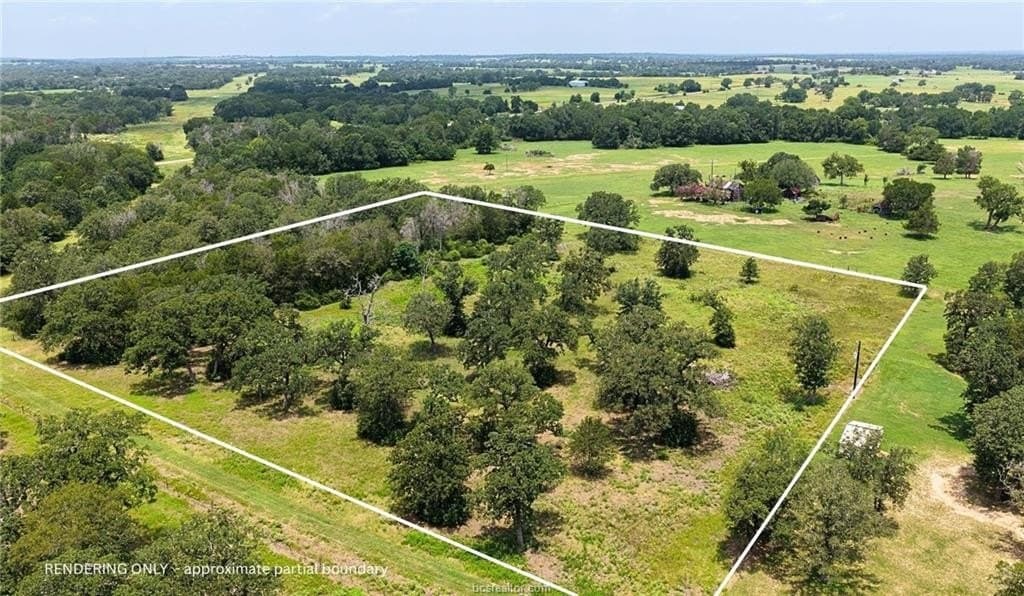 4.17 acres in Lee County gallery image 4