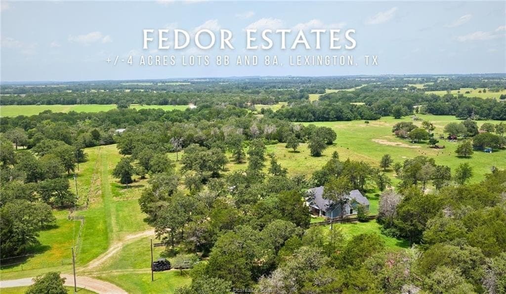 4.17 acres in Lee County