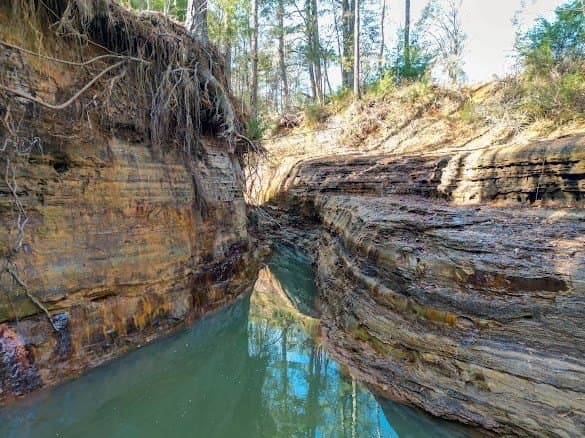 8 acres in ANDERSON County gallery image 2