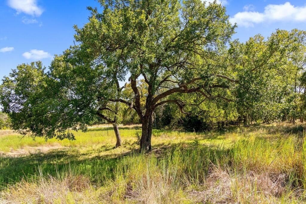 16 acres in Blanco County - photo 34