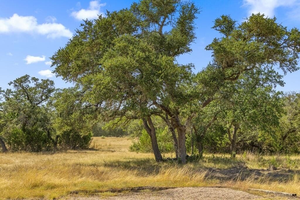 16 acres in Blanco County - photo 37