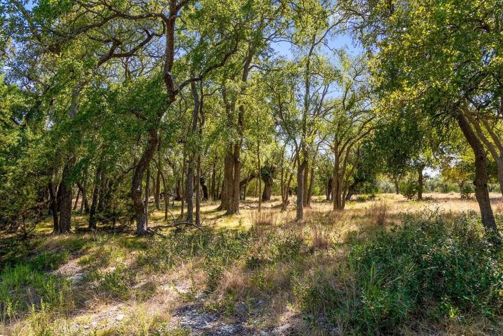 16 acres in Blanco County - photo 31