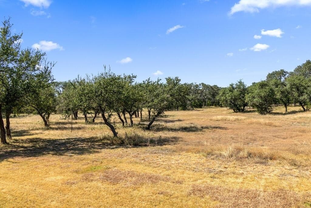 16 acres in Blanco County - photo 35