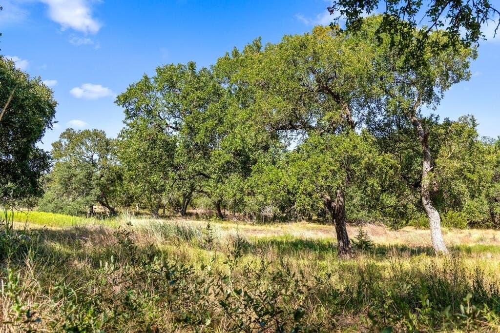 16 acres in Blanco County - photo 30