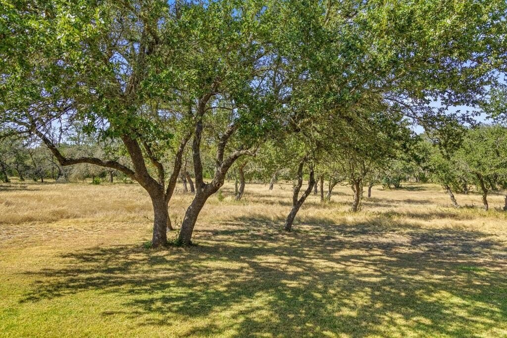16 acres in Blanco County - photo 36