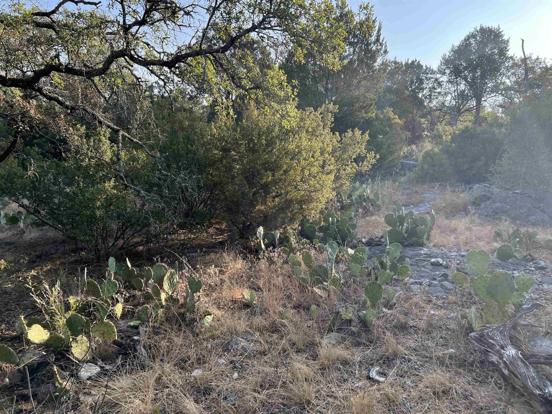 0.26 acres in Llano County - photo 14