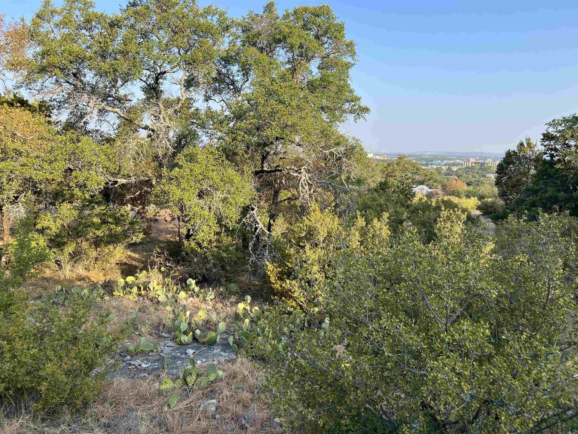 0.26 acres in Llano County - photo 5