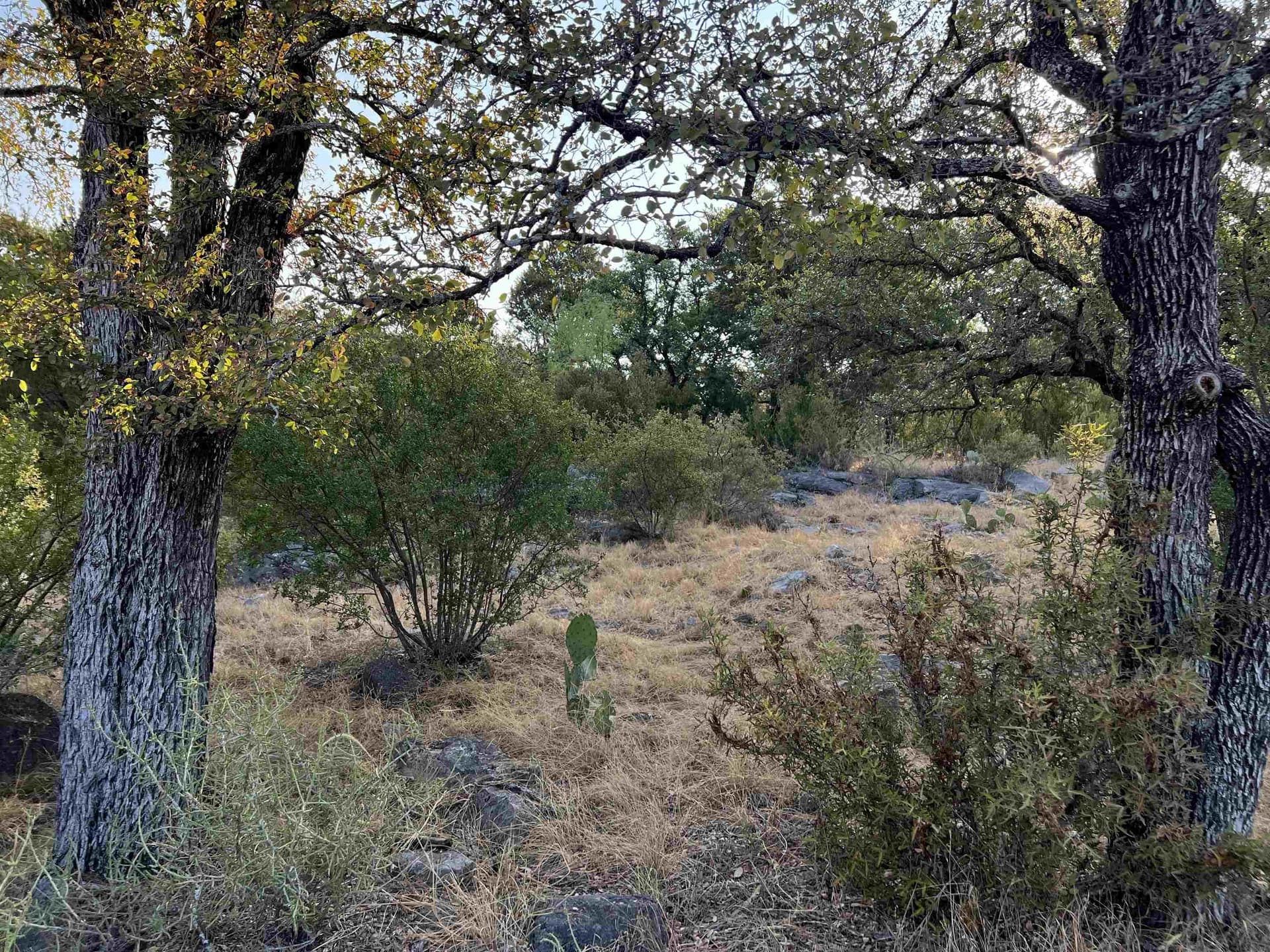 0.26 acres in Llano County - photo 12