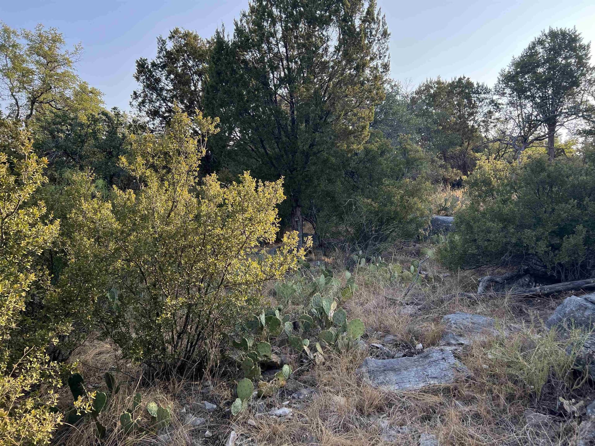 0.26 acres in Llano County - photo 7