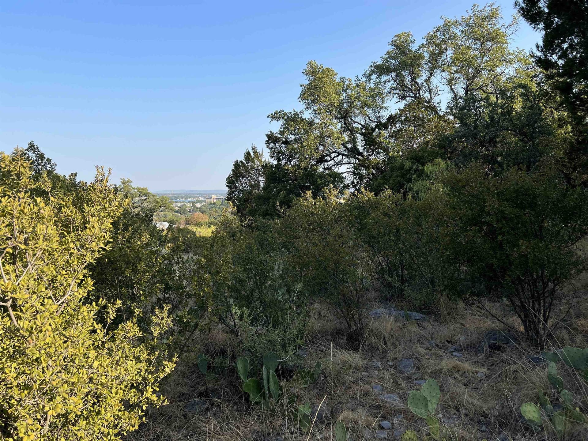 0.26 acres in Llano County - photo 15