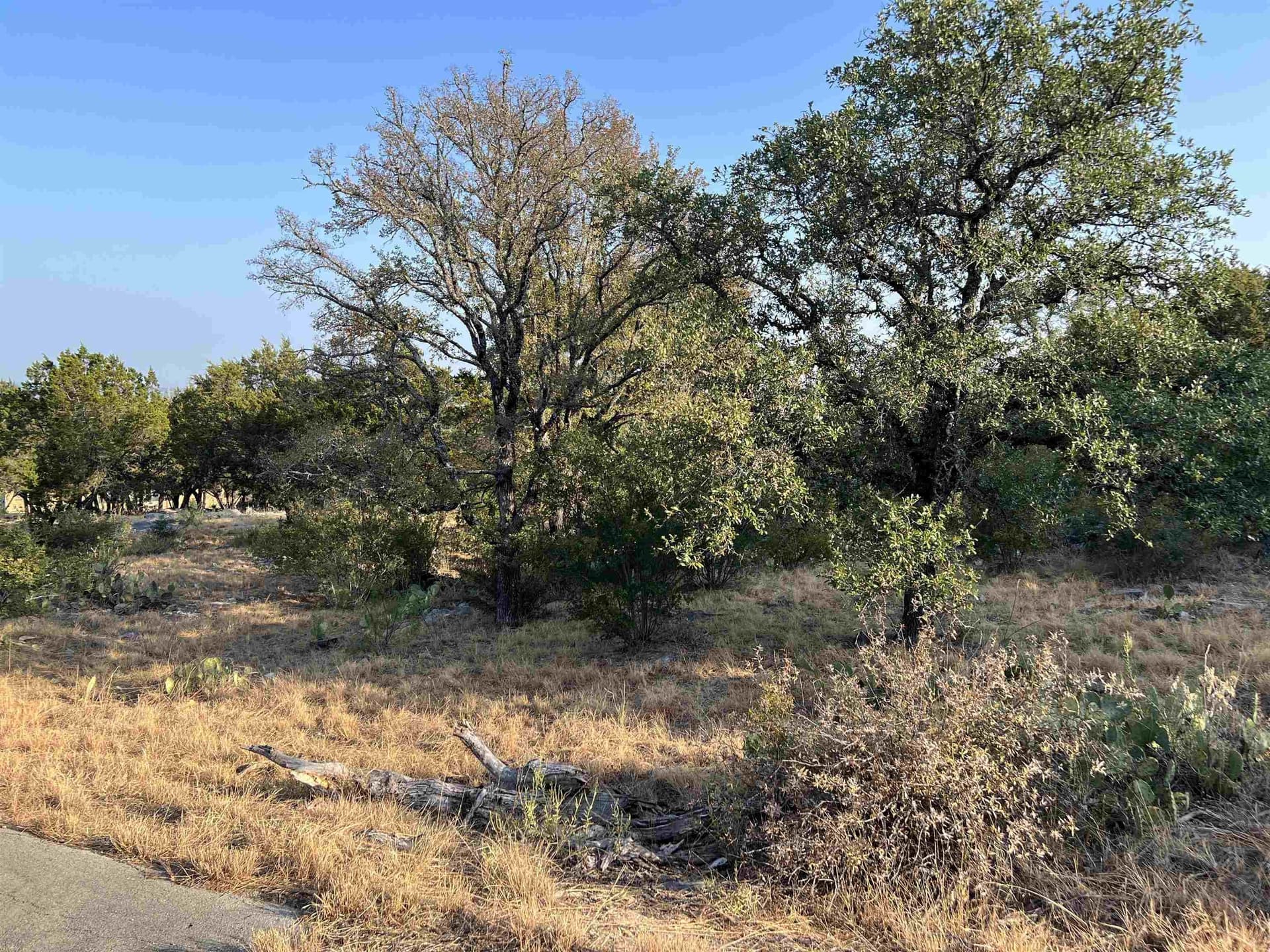 0.26 acres in Llano County - photo 16