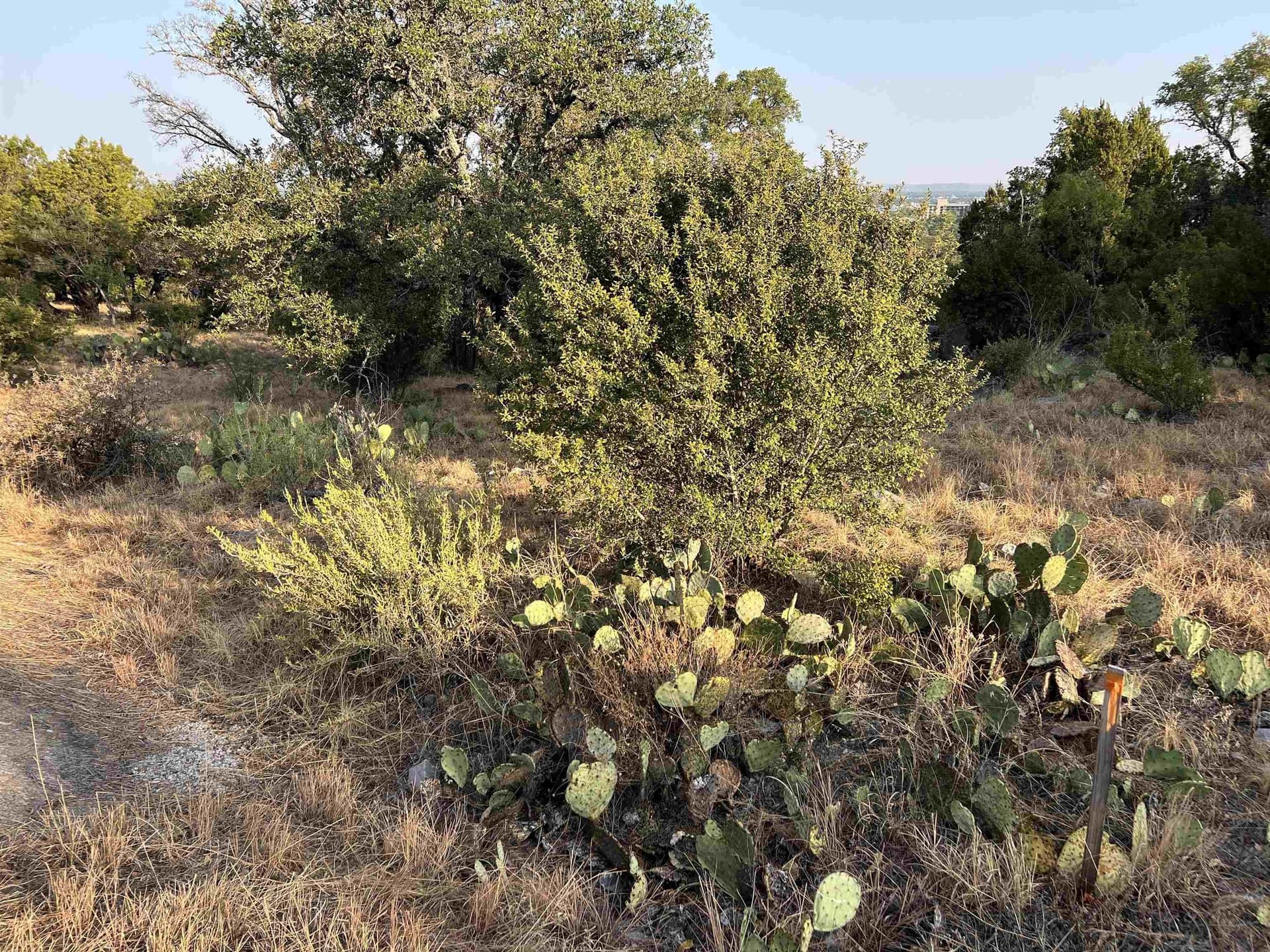 0.26 acres in Llano County - photo 3