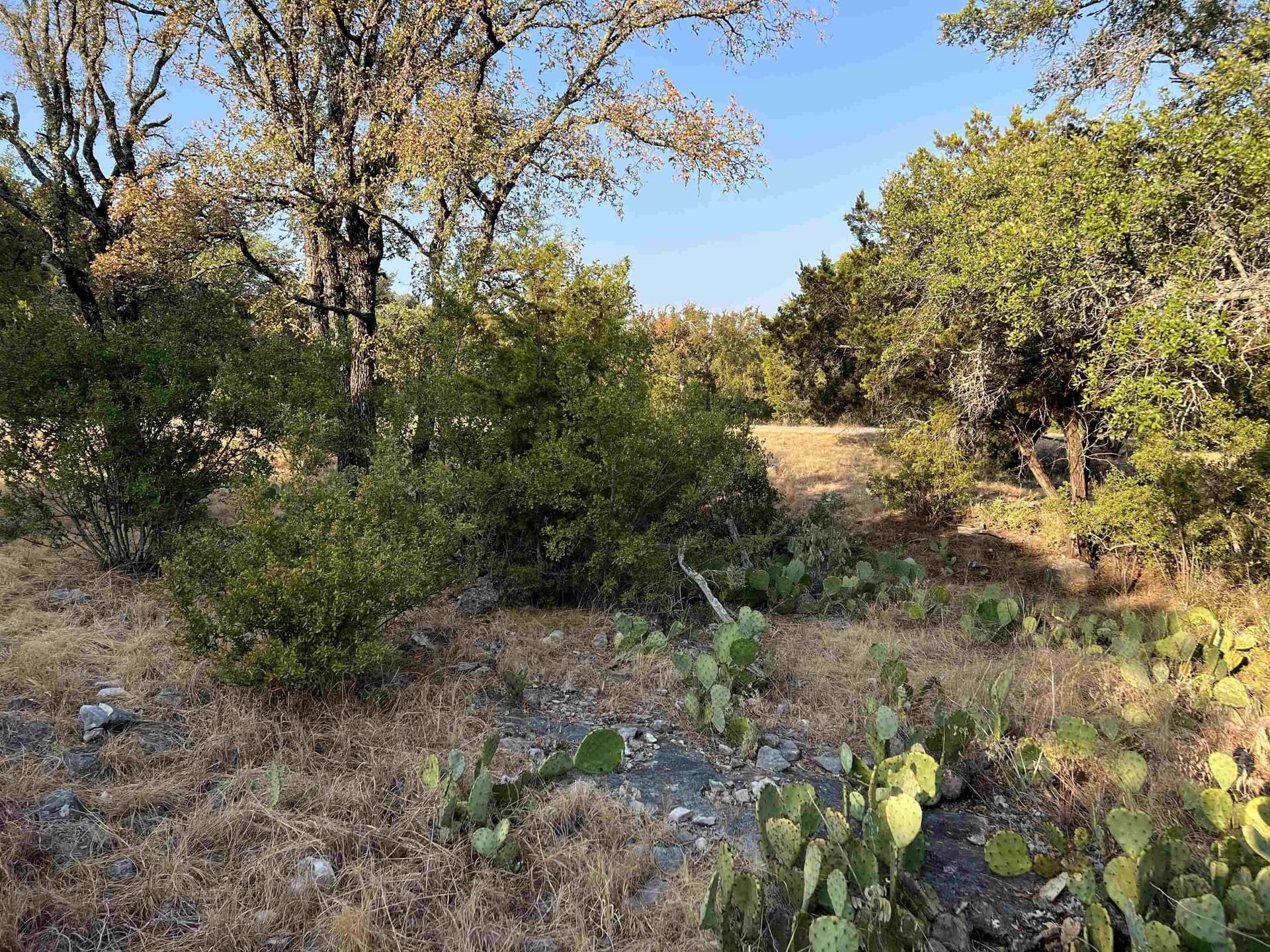 0.26 acres in Llano County - photo 9