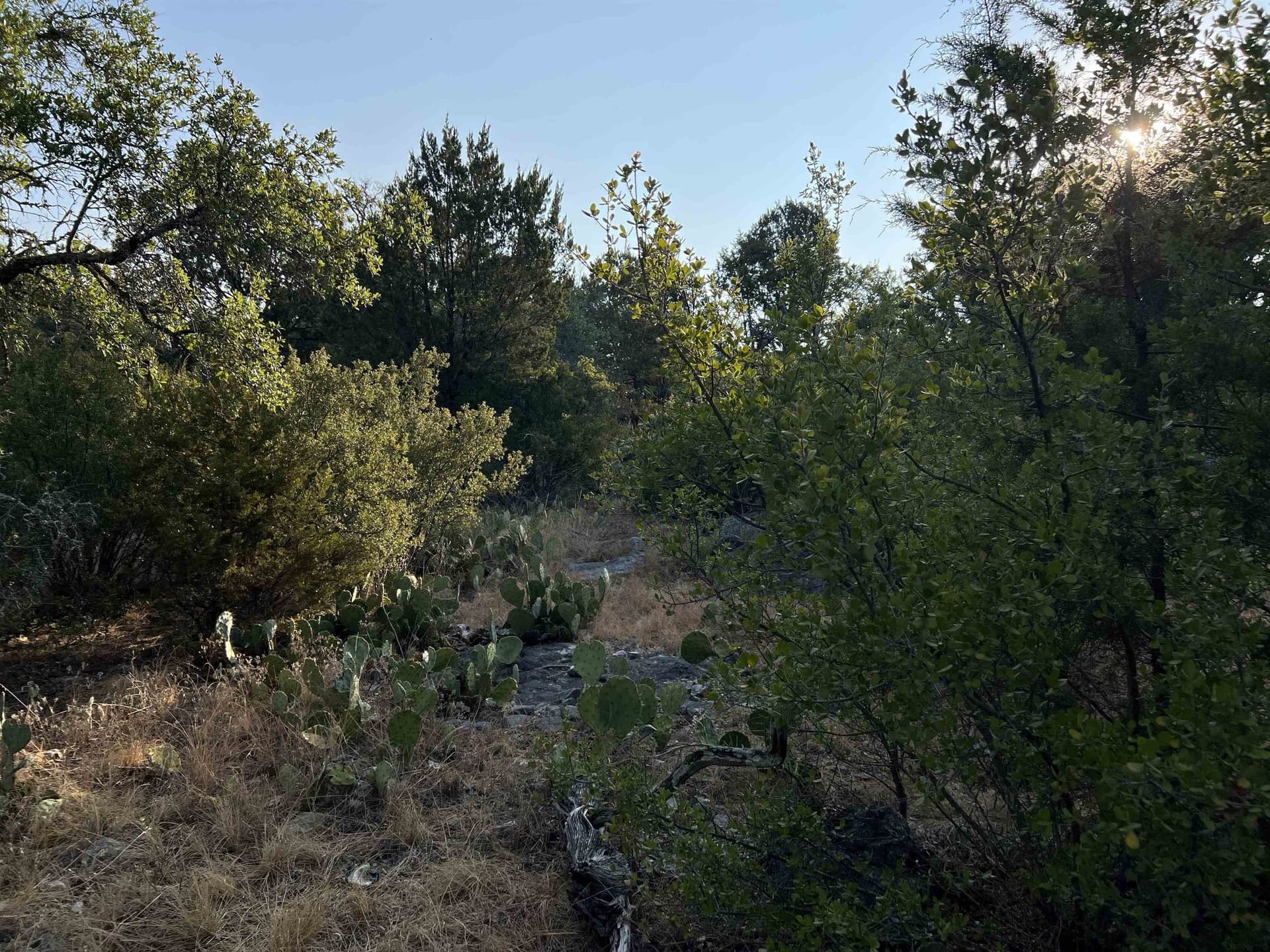 0.26 acres in Llano County - photo 13