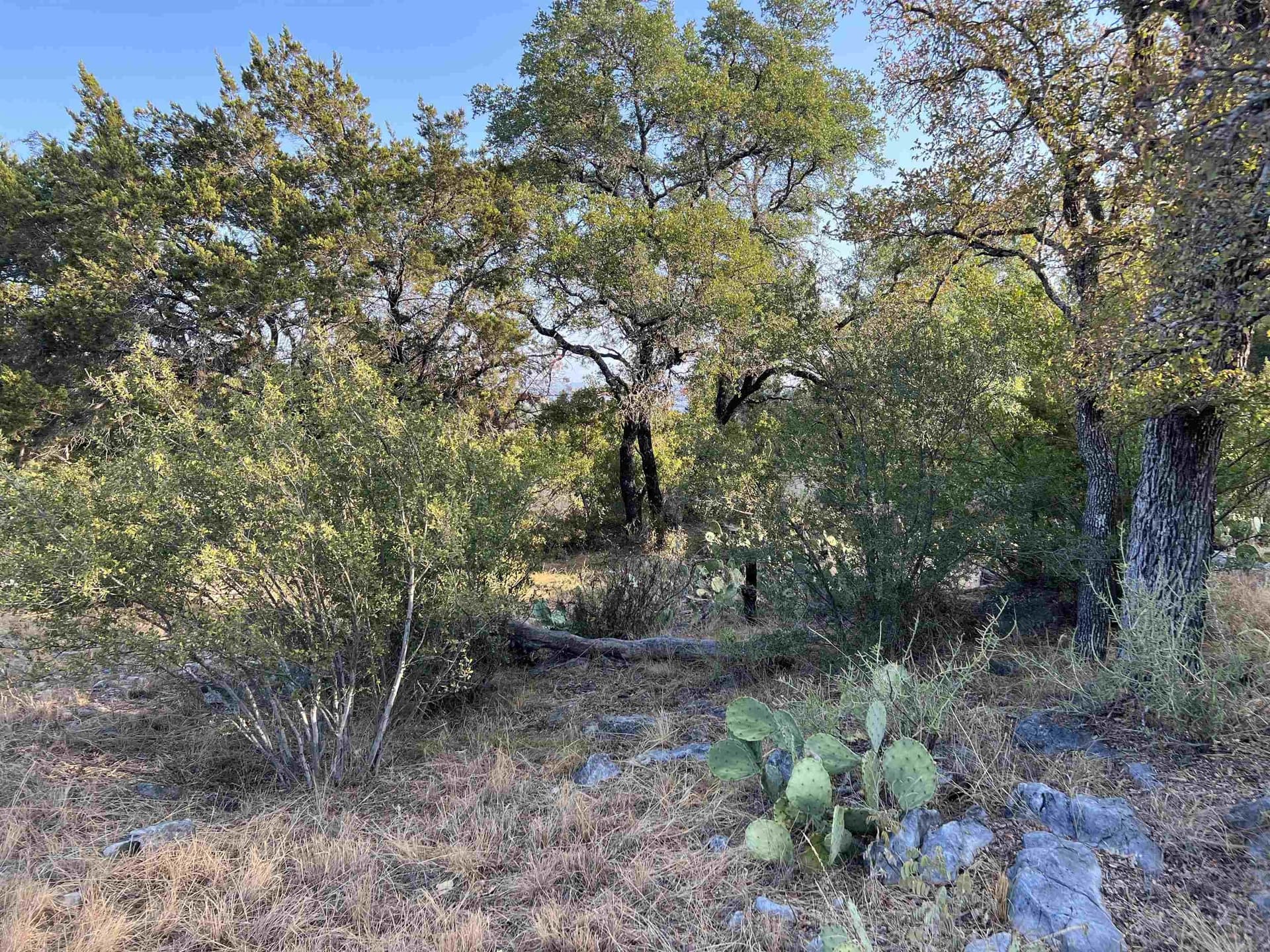0.26 acres in Llano County - photo 11
