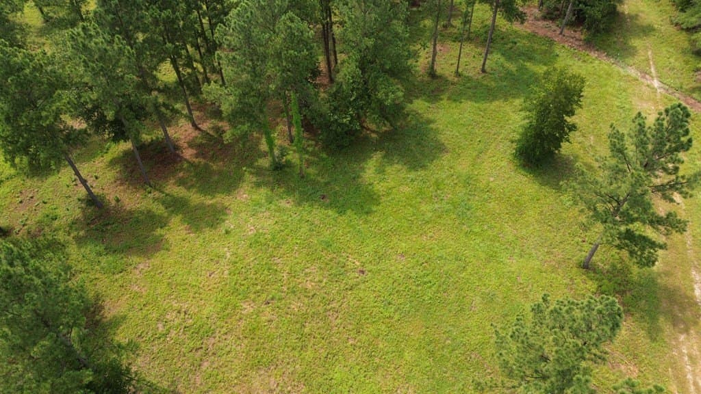 10.01 acres in Texas County - photo 18