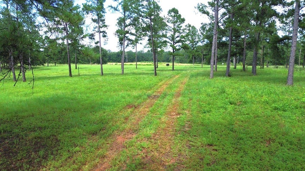 10.01 acres in Texas County - photo 13