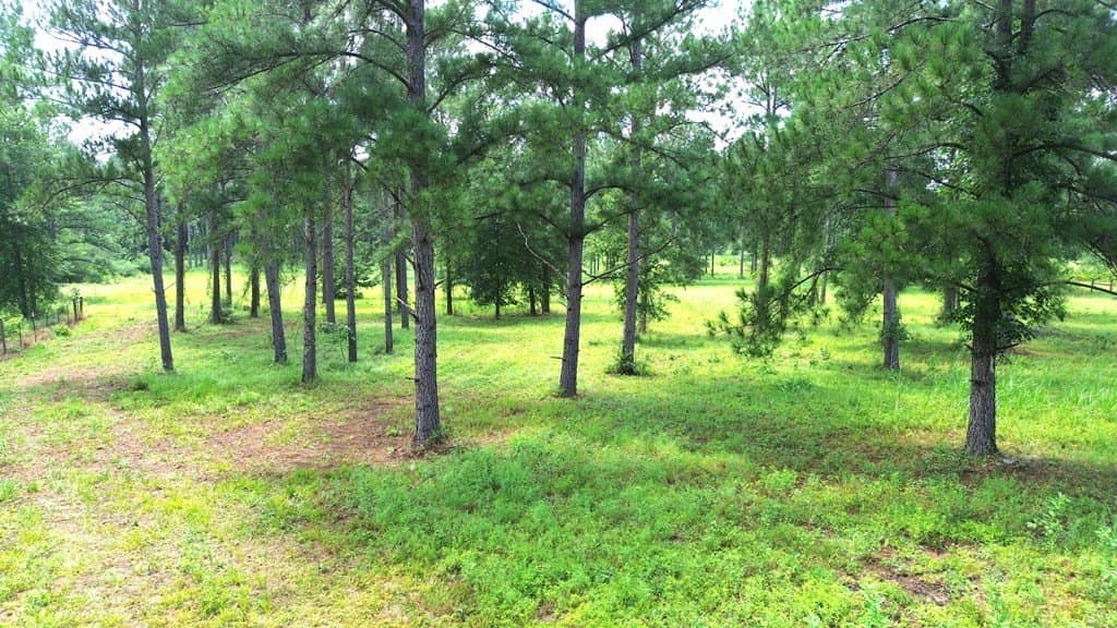 10.01 acres in Texas County - photo 11