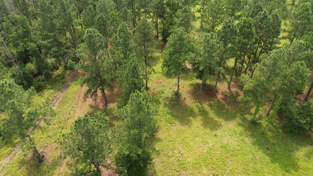 10.01 acres in Texas County - photo 17