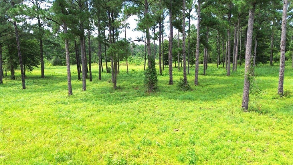 10.01 acres in Texas County - photo 15