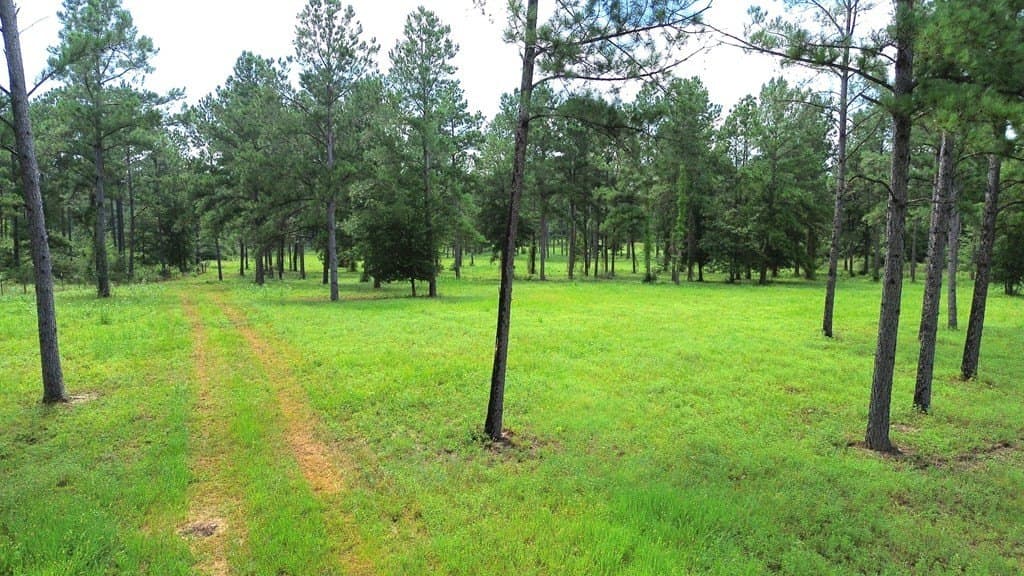 10.01 acres in Texas County - photo 10