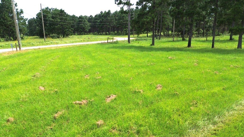 10.01 acres in Texas County - photo 20