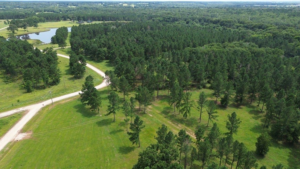 10.01 acres in Texas County gallery image 3