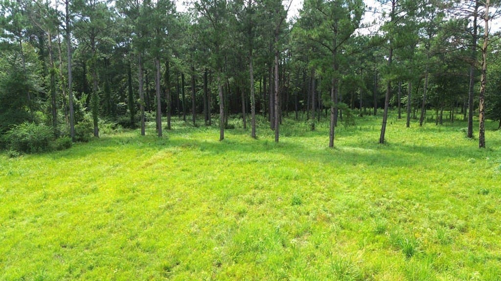 10.01 acres in Texas County - photo 16