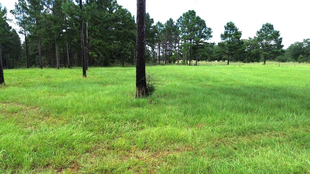 10.01 acres in Texas County - photo 9