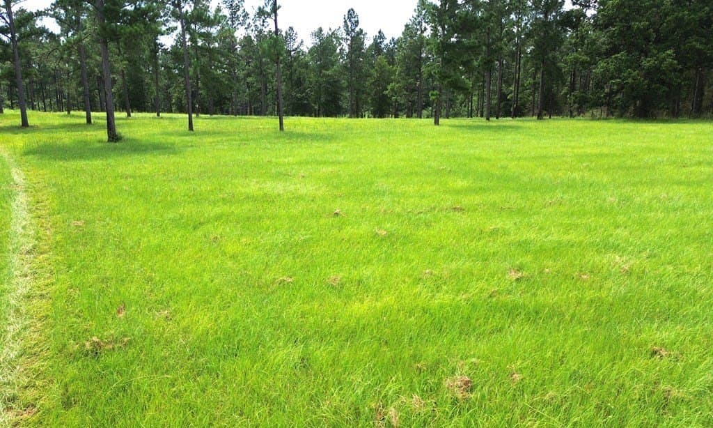10.01 acres in Texas County - photo 21