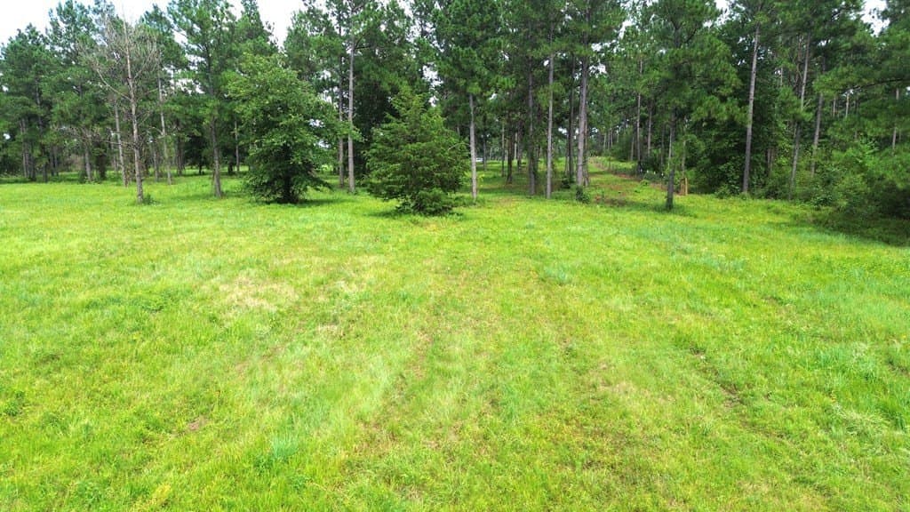 10.01 acres in Texas County - photo 14