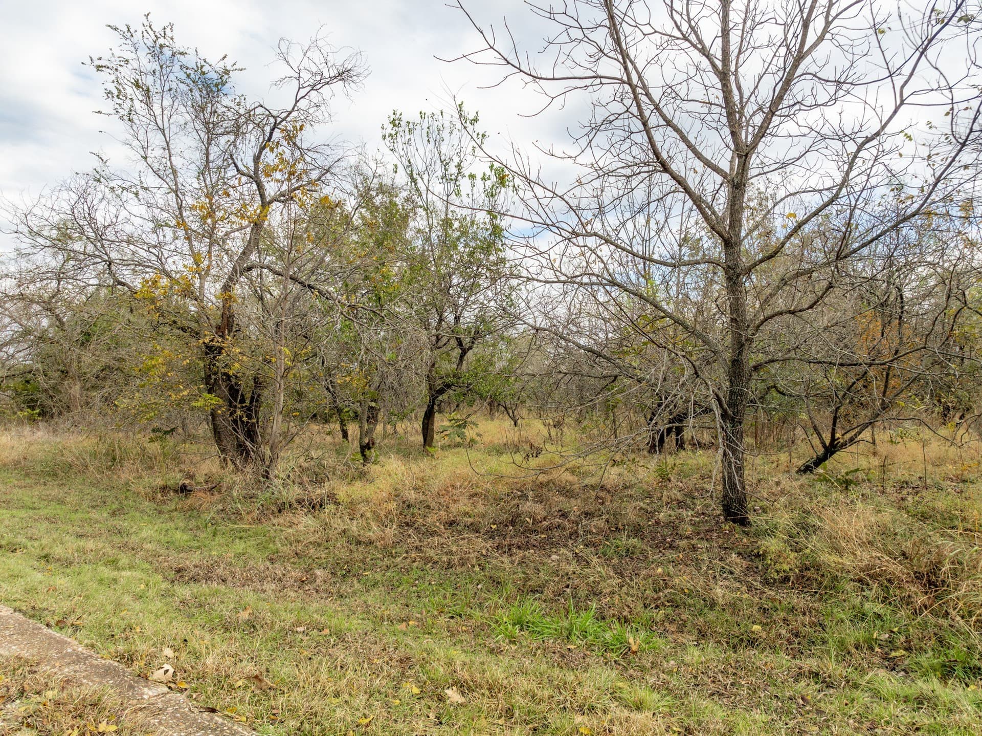 0.22 acres in Hill County gallery image 4
