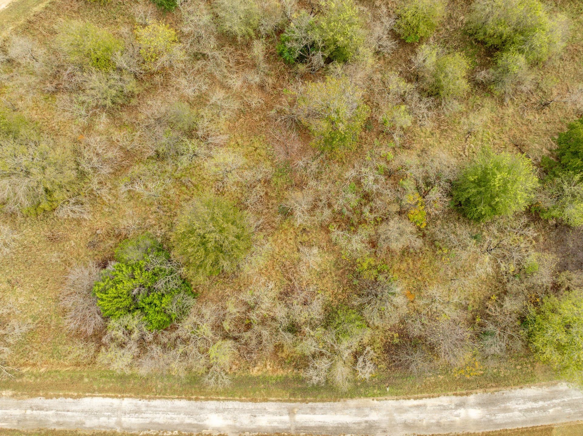 0.22 acres in Hill County featured view