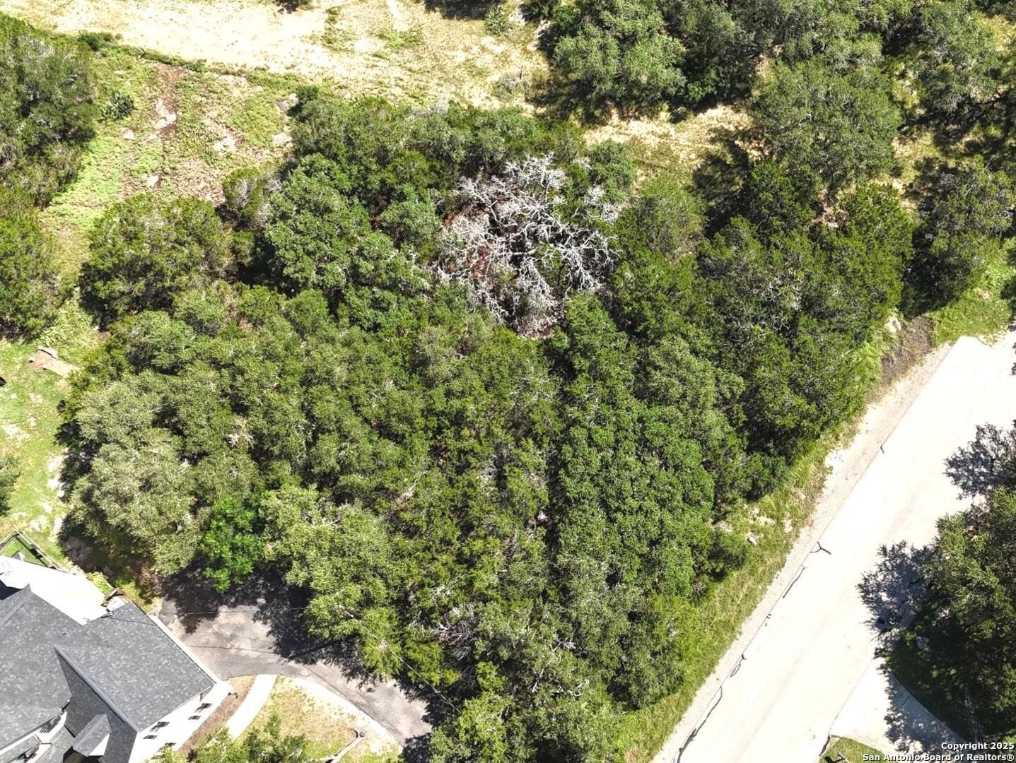 0.67 acres in Comal County gallery image 2