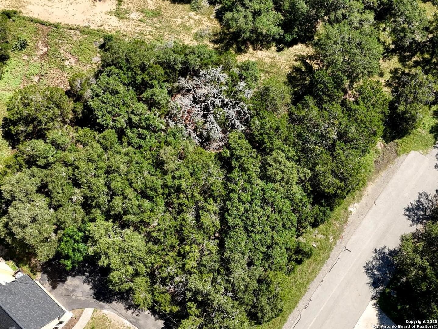 0.67 acres in Comal County gallery image 4