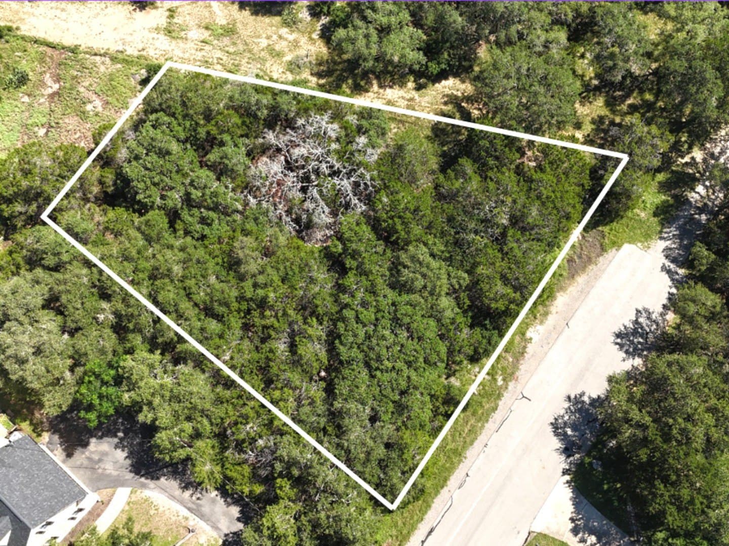 0.67 acres in Comal County gallery image 3