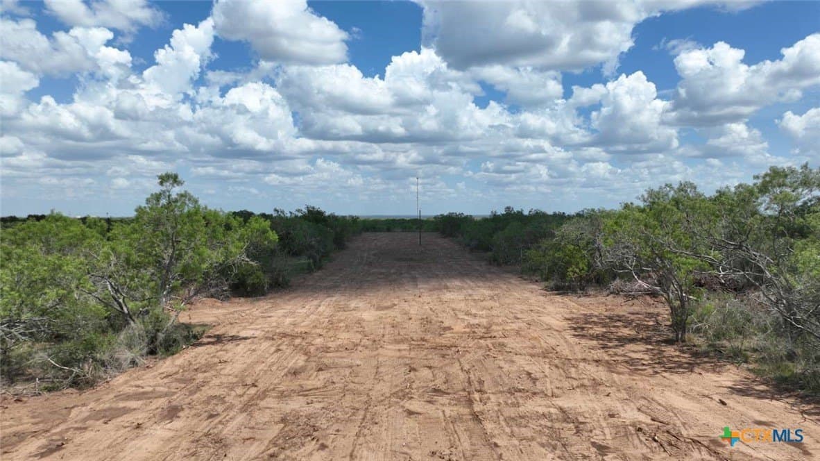 5.68 acres in Wilson County gallery image 3