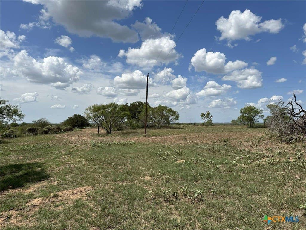 5.68 acres in Wilson County gallery image 2
