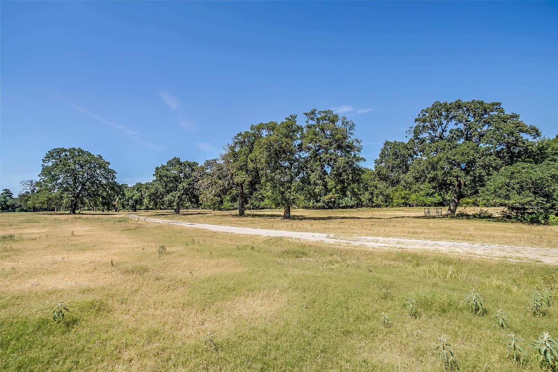 222.17 acres in Hunt County gallery image 2