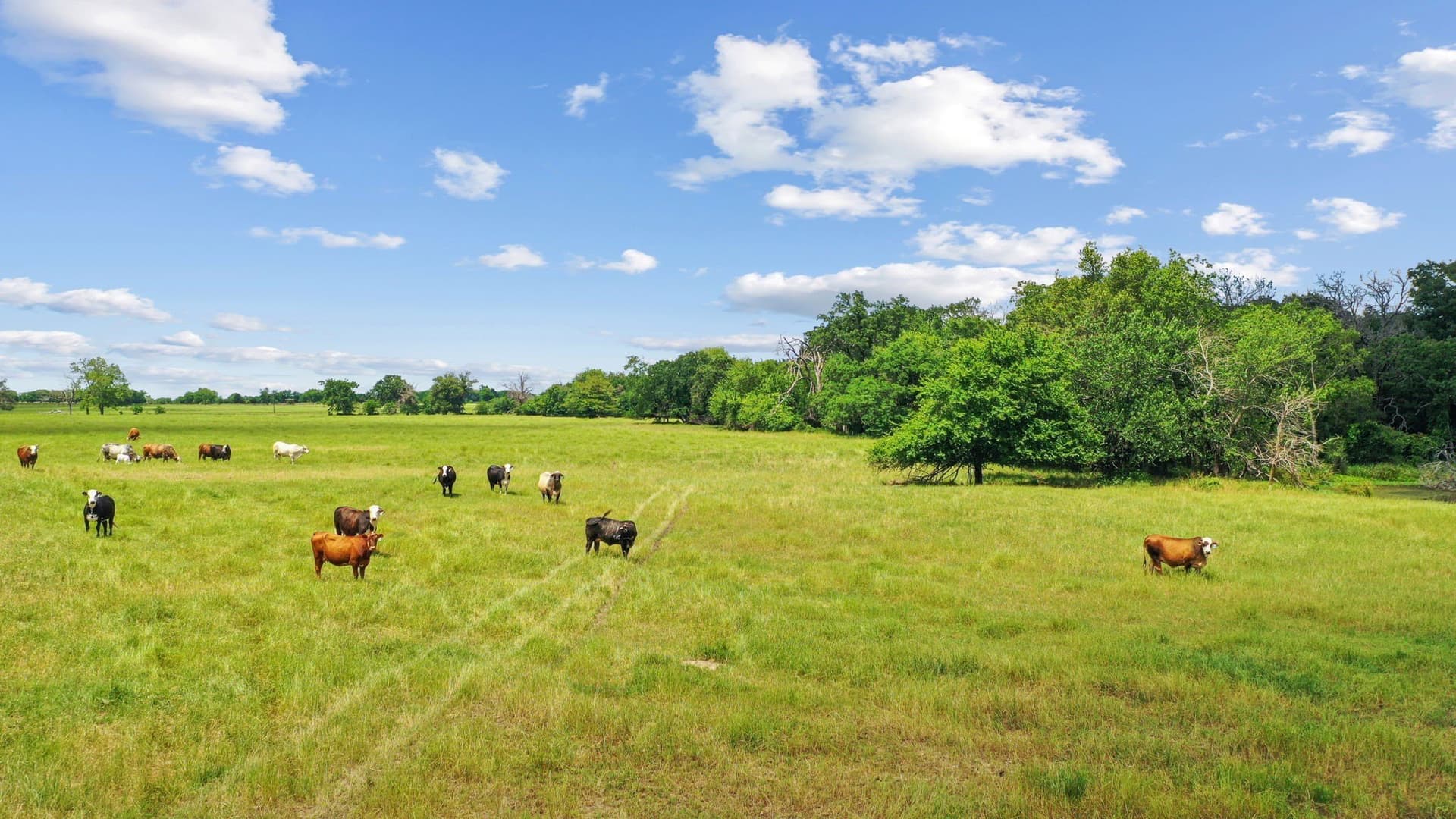 222.17 acres in Hunt County