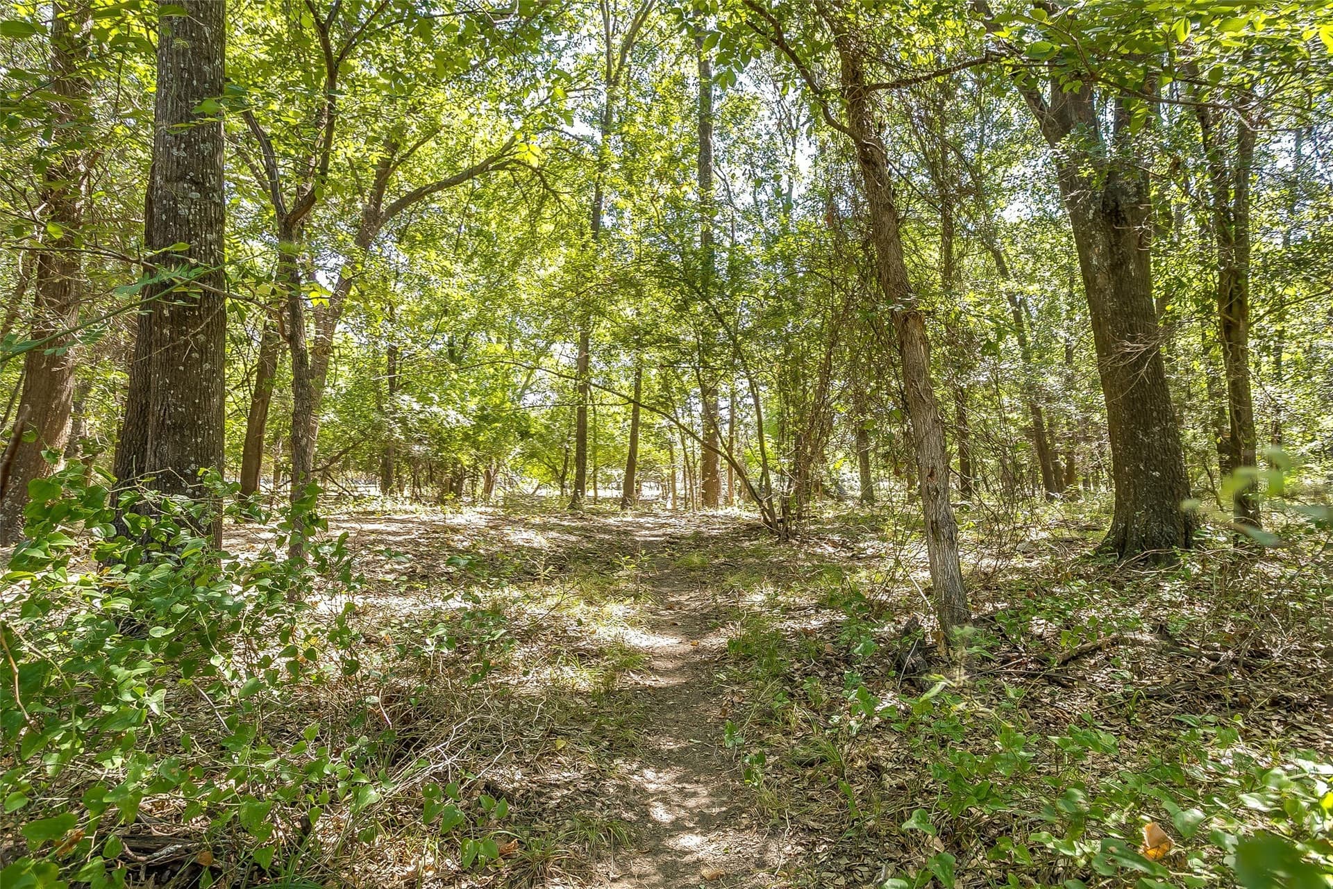 222.17 acres in Hunt County - photo 16