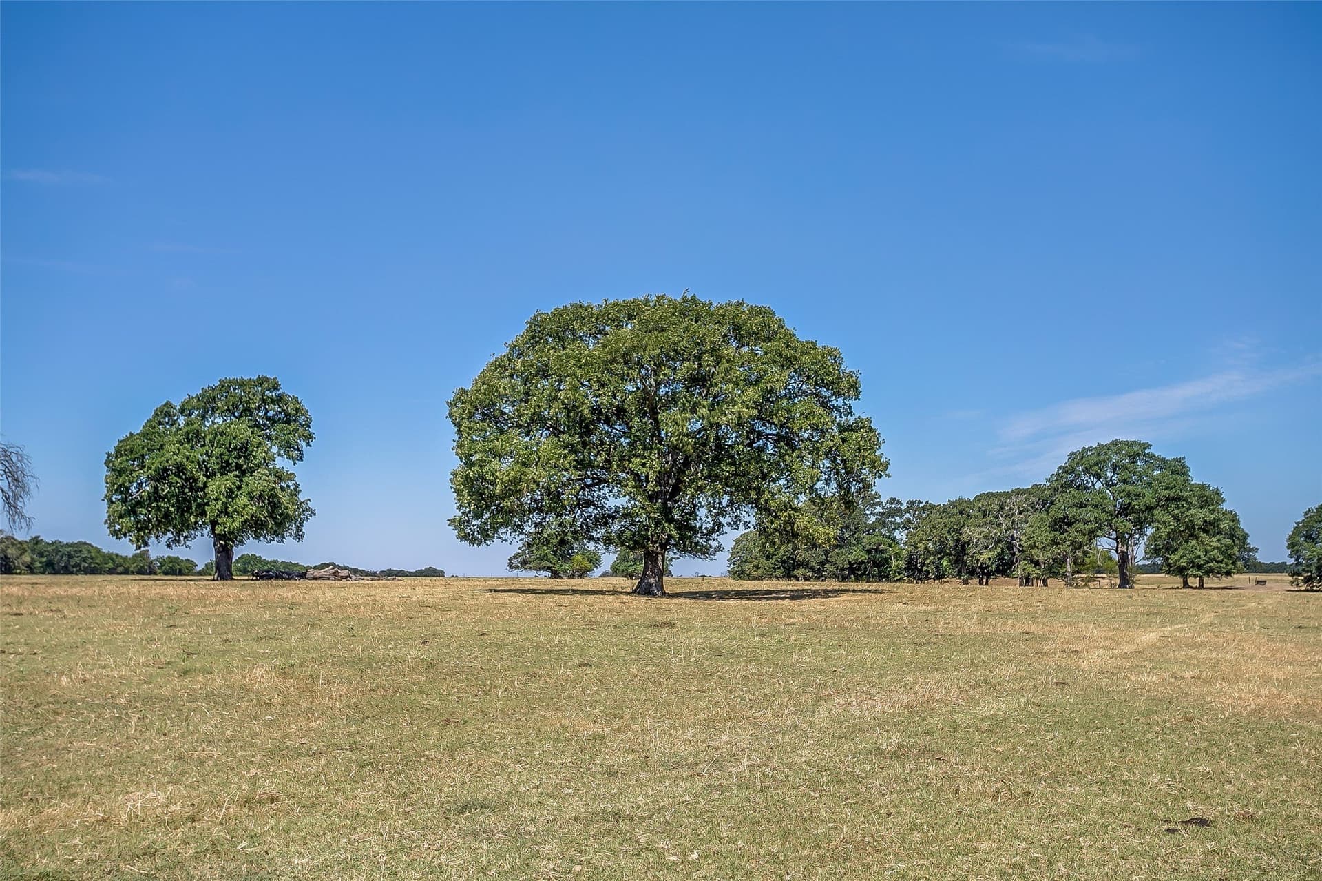 222.17 acres in Hunt County featured view