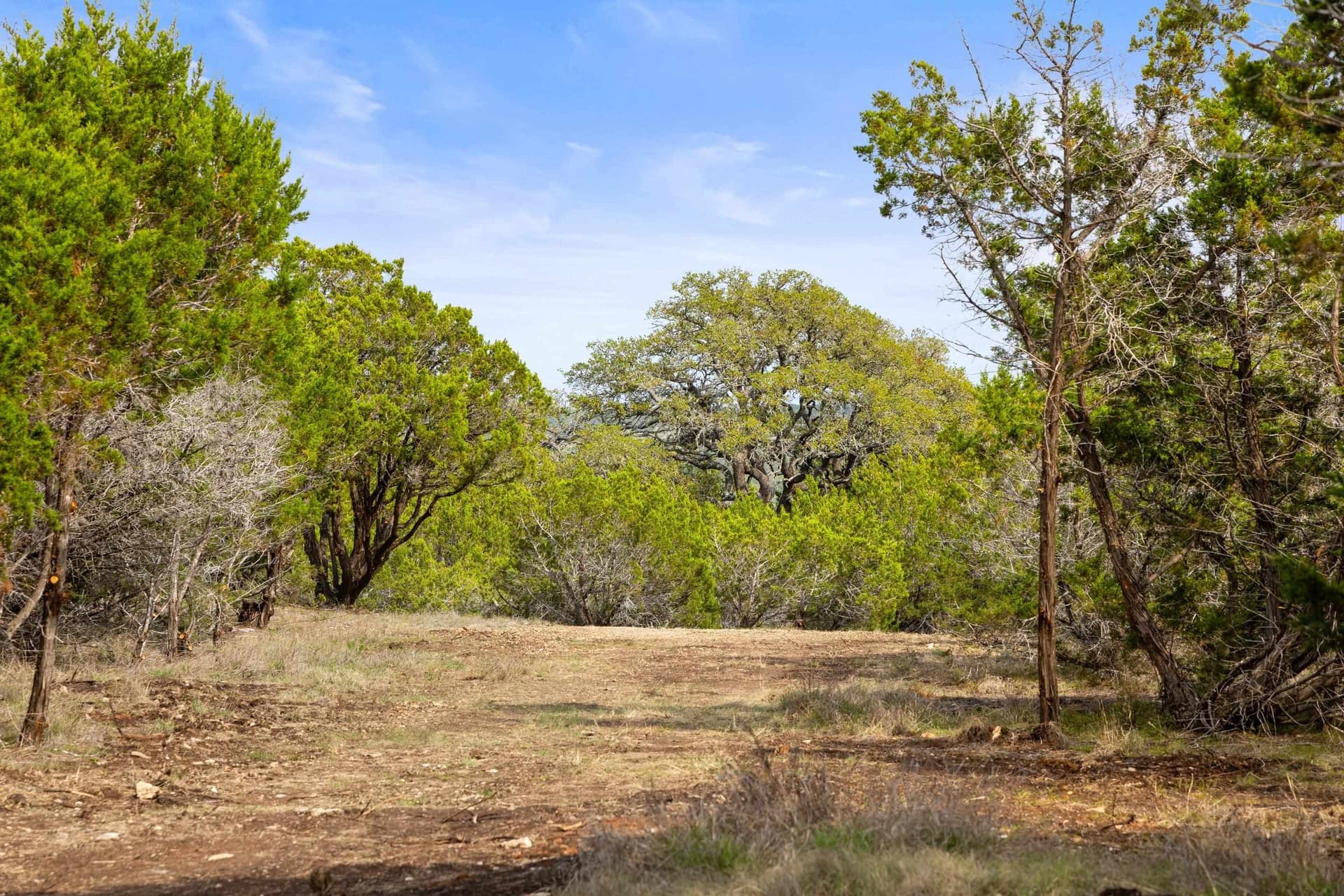 18.96 acres in Hays County - photo 16