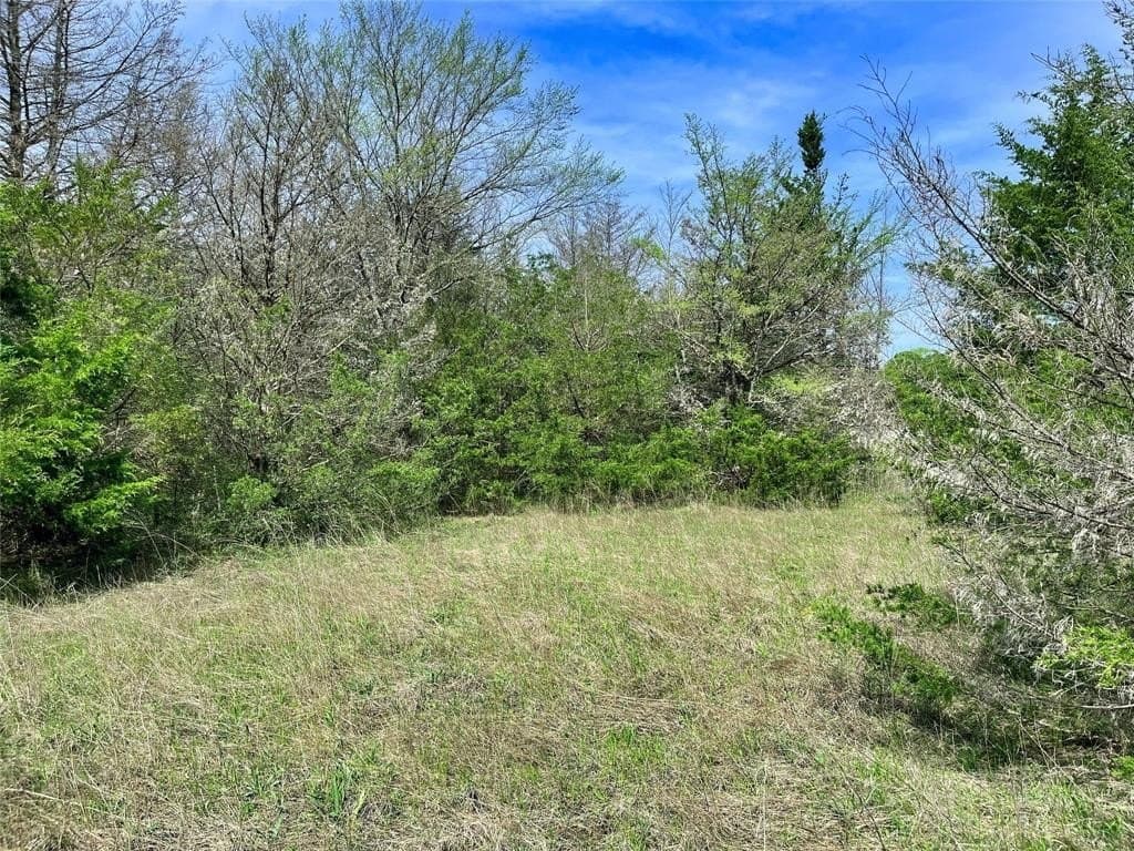 10.5 acres in Fannin County featured view