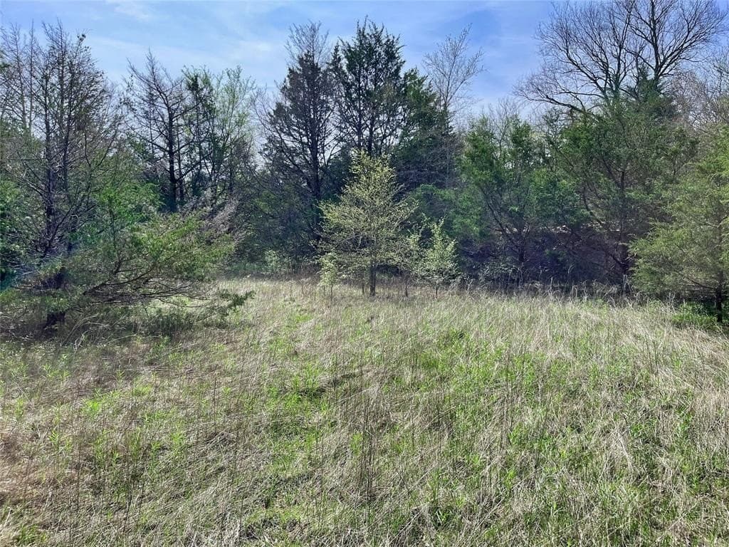 10.5 acres in Fannin County gallery image 4