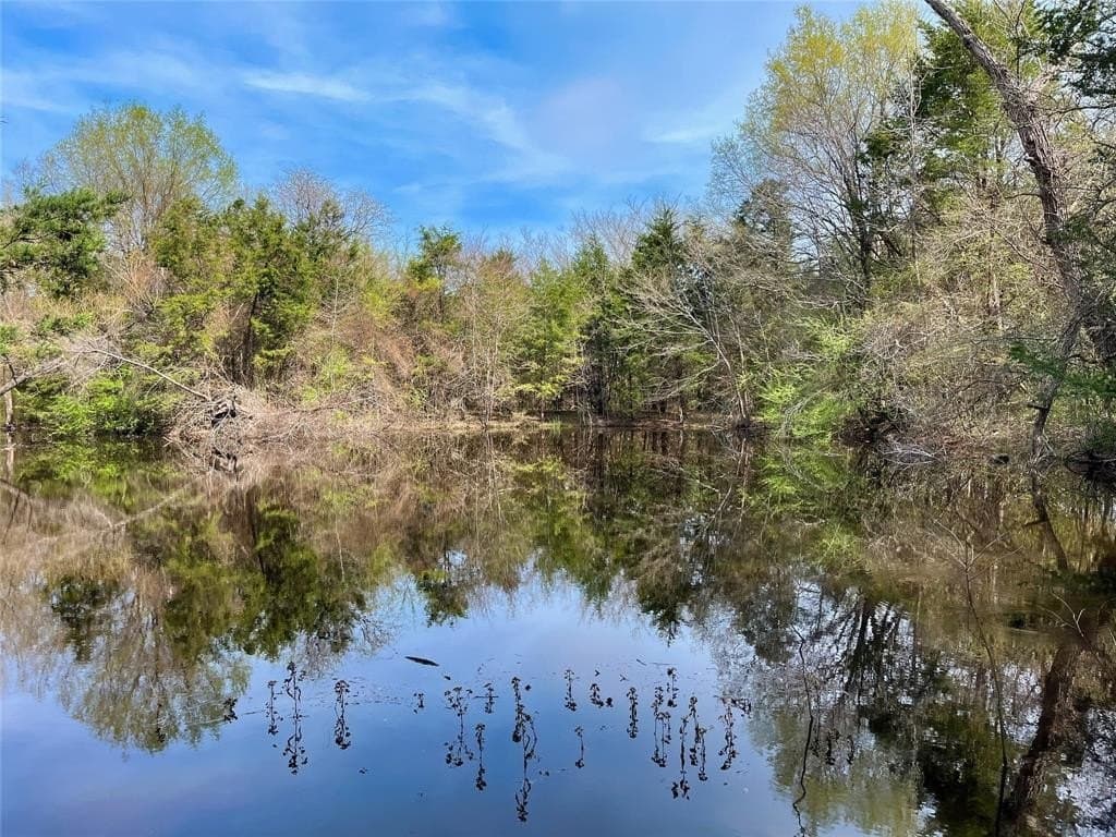 10.5 acres in Fannin County