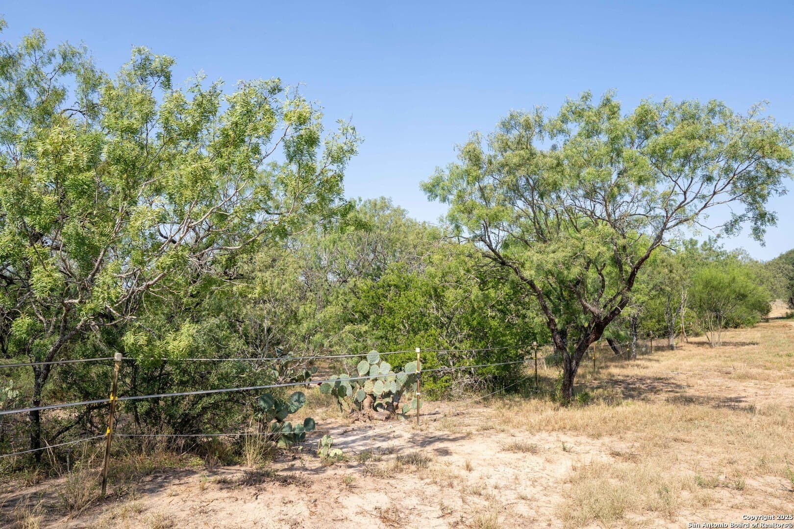 9.33 acres in Bexar County featured view