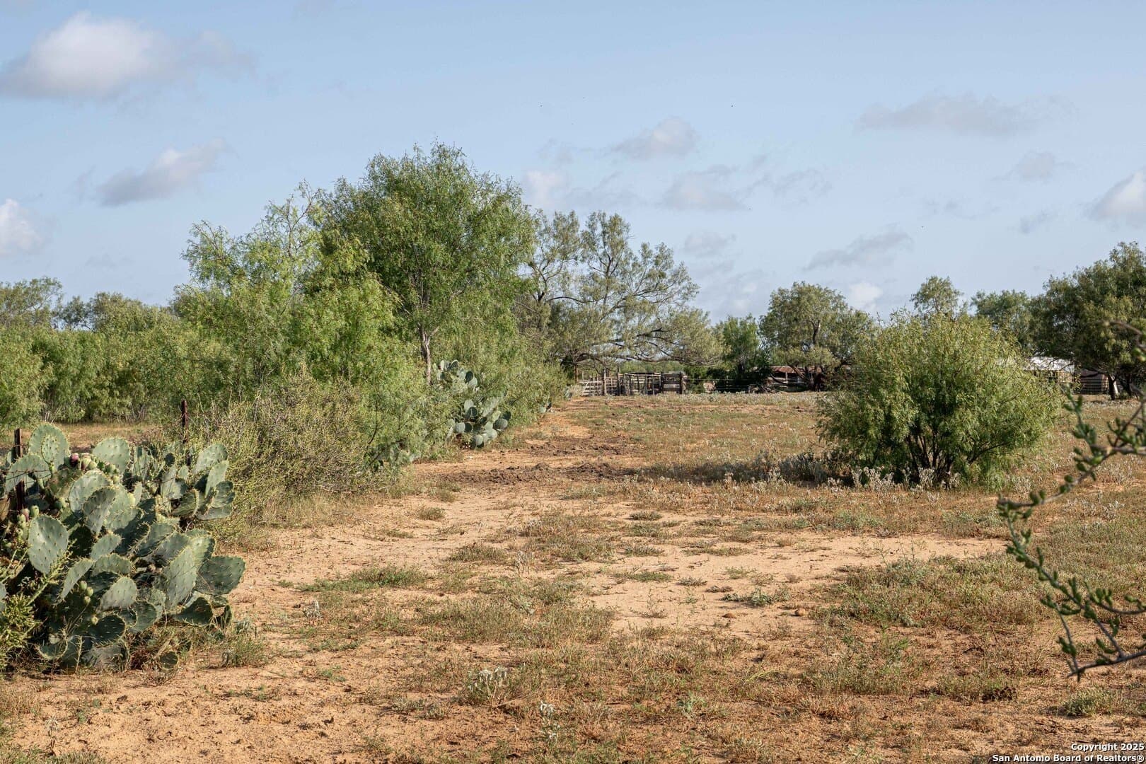 9.33 acres in Bexar County - photo 6