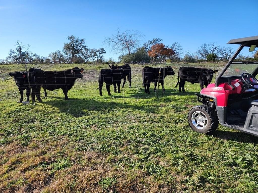 27.11 acres in Gillespie County - photo 65