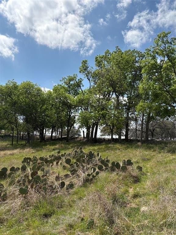 240 acres in Mills County gallery image 2